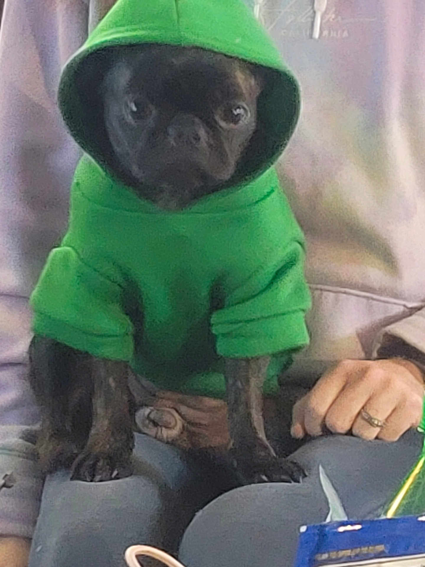 Stella
