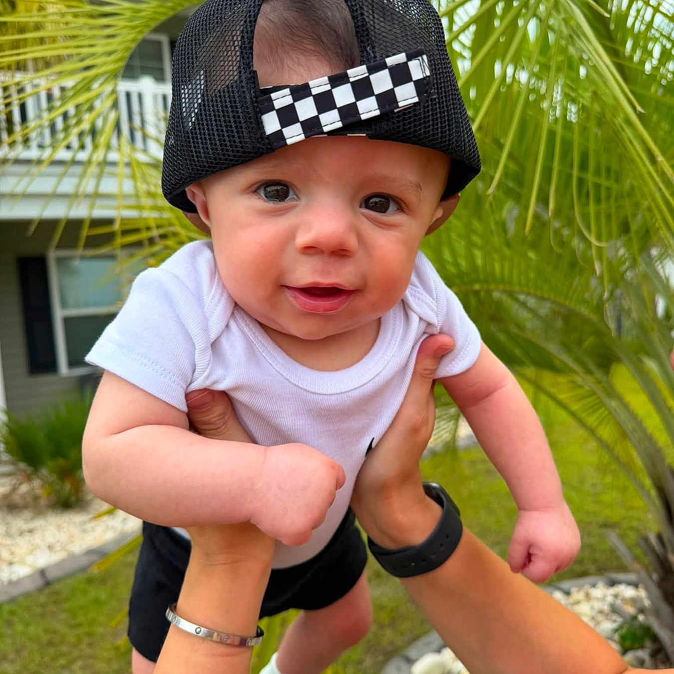 Zakai joined the competition — help win amazing prizes! baby, child, infant, cap, hat, black_cap, white_shirt, outdoor, greenery, palm_leaves, hands, person, grass, house, smiling, cute, portrait, young_child, playing, nature