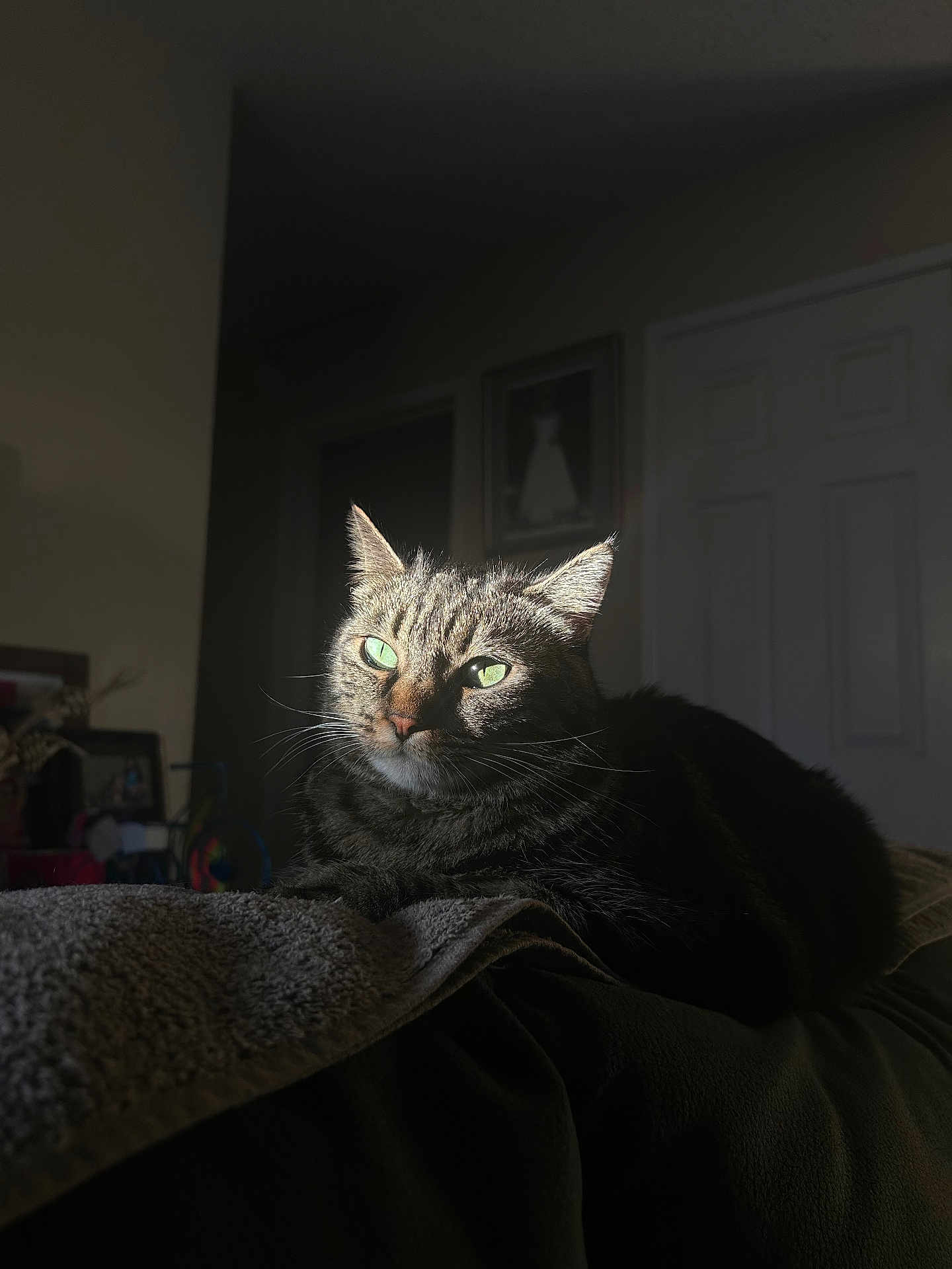 Shadow