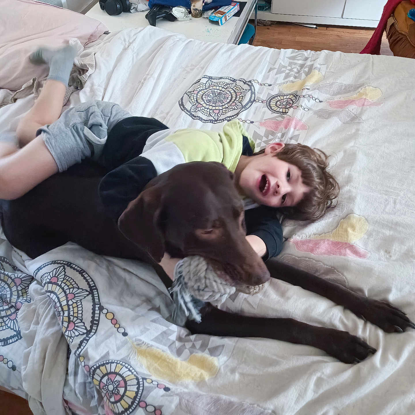 Liam a rejoint le concours — aidez-le/la à gagner de superbes lots ! accessories, animal, bag, bed, bedroom, boy, canine, child, clothing, cup, dog, face, furniture, glove, handbag, indoors, male, person, pet, room