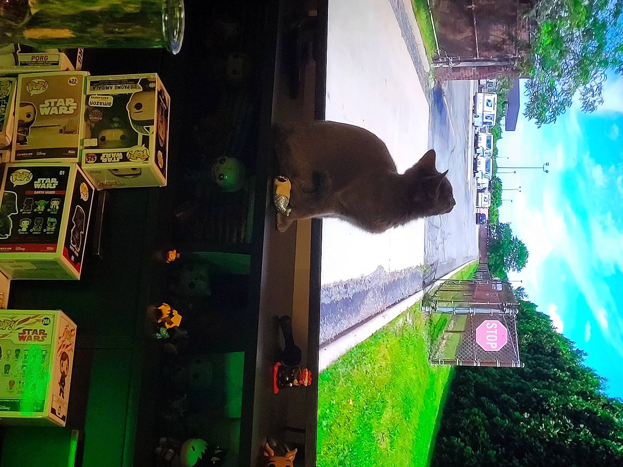 Grayson is registered to the contest to win money with this photo: architecture, building, cat, cloud, facade, felidae, grass, green, house, landscape, light, line, organism, plant, sky, tower, tree, urban_design, window, world