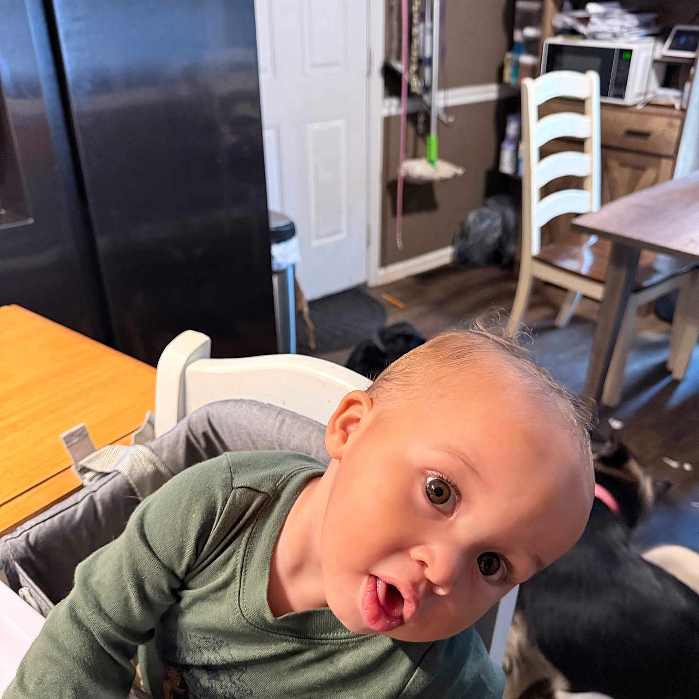 Charles Young is registered to the contest to win money with this photo: baby, child, infant, high_chair, kitchen, dining_room, table, chair, refrigerator, microwave, dog, pet, green_shirt, portrait, indoors, sitting, wide_eyes, open_mouth, funny_expression, home
