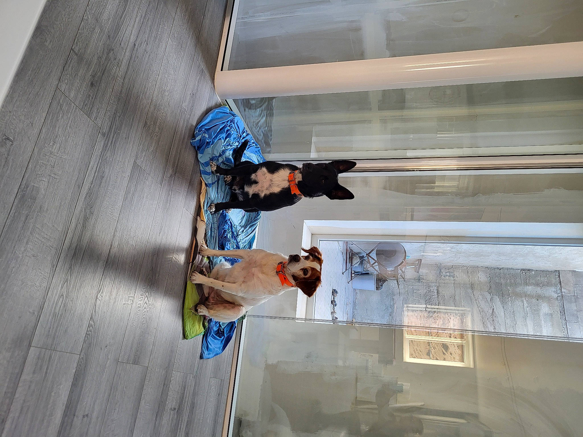 Black Et Hula participe au concours pour gagner de l'argent avec cette photo : building, cleanliness, composite_material, concrete, daylighting, electric_blue, engineering, fixture, flooring, glass, recreation, window, wood