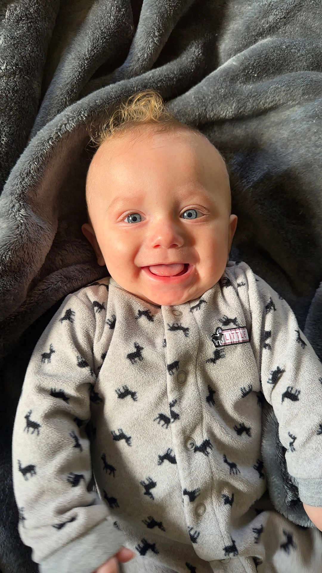 Sutton joined the competition — help win amazing prizes! baby, smiling, blue_eyes, curly_hair, onesie, deer_pattern, blanket, gray, soft_texture, happy, infant, cute, portrait, cozy, child, lying_down, indoors, warm, face, expression