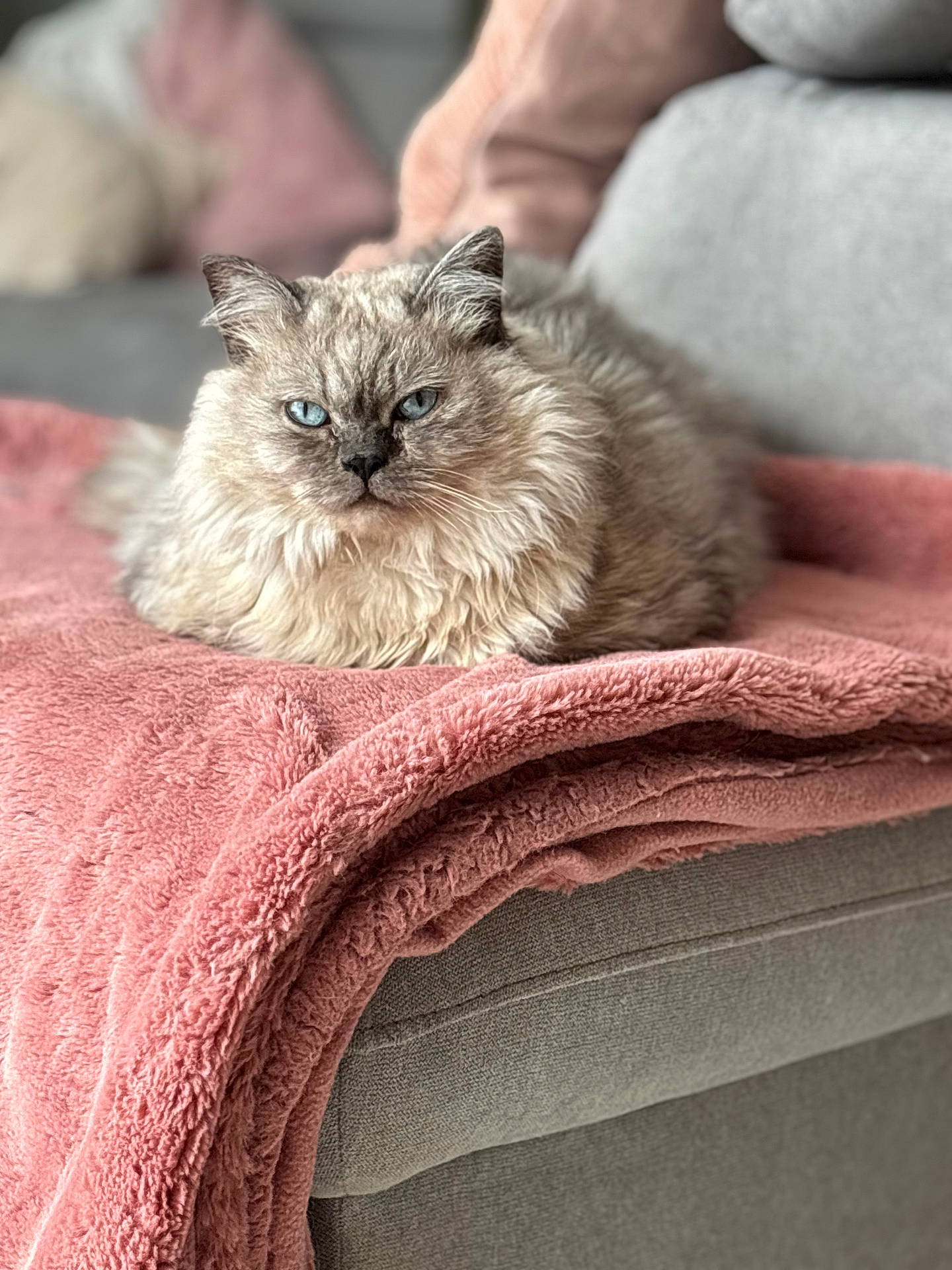 Yoda
