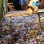 Doudou a rejoint le concours — aidez-le/la à gagner de superbes lots ! animal, backyard, blue_sky, blue_toy, dog, fence, firewood, garden, grass, jumping, leaves, outdoor, pet, playful, shrubbery, snow, sunlight, toy, winter, wooden_hurdle