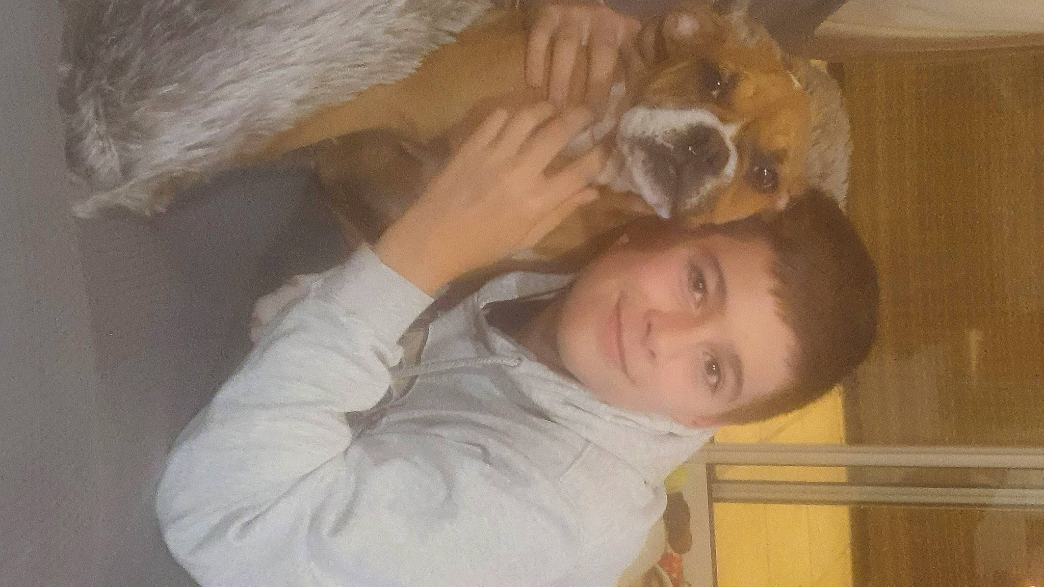 Twilight a rejoint le concours — aidez-le/la à gagner de superbes lots ! carnivore, comfort, companion_dog, dog, dog_breed, ear, facial_expression, fawn, felidae, fun, fur, gesture, hairstyle, happy, iris, nose, smile, sporting_group, wood, working_animal