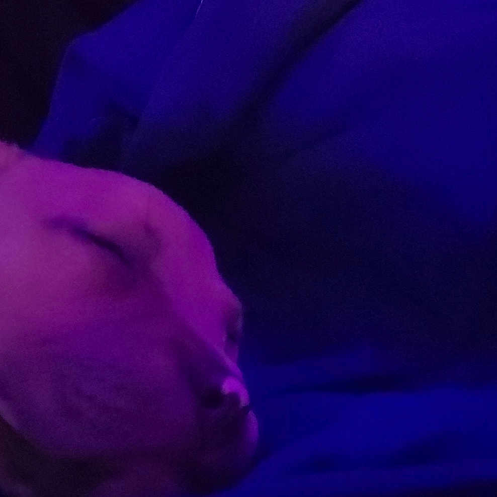 Boops joined the competition — help win amazing prizes! animal, calm, canine, closeup, comfort, cute, dog, domestic, face, fur, indoor, nap, peaceful, pet, portrait, purple_light, relaxation, rest, sleeping, soft