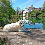 Eliot a rejoint le concours — aidez-le/la à gagner de superbes lots ! building, calm_water, cloudless, countryside, daytime, dog, greenery, house, landscape, nature, outdoor, peaceful, reflection, relaxing, river, sky, stone, sunny, tree, white_dog