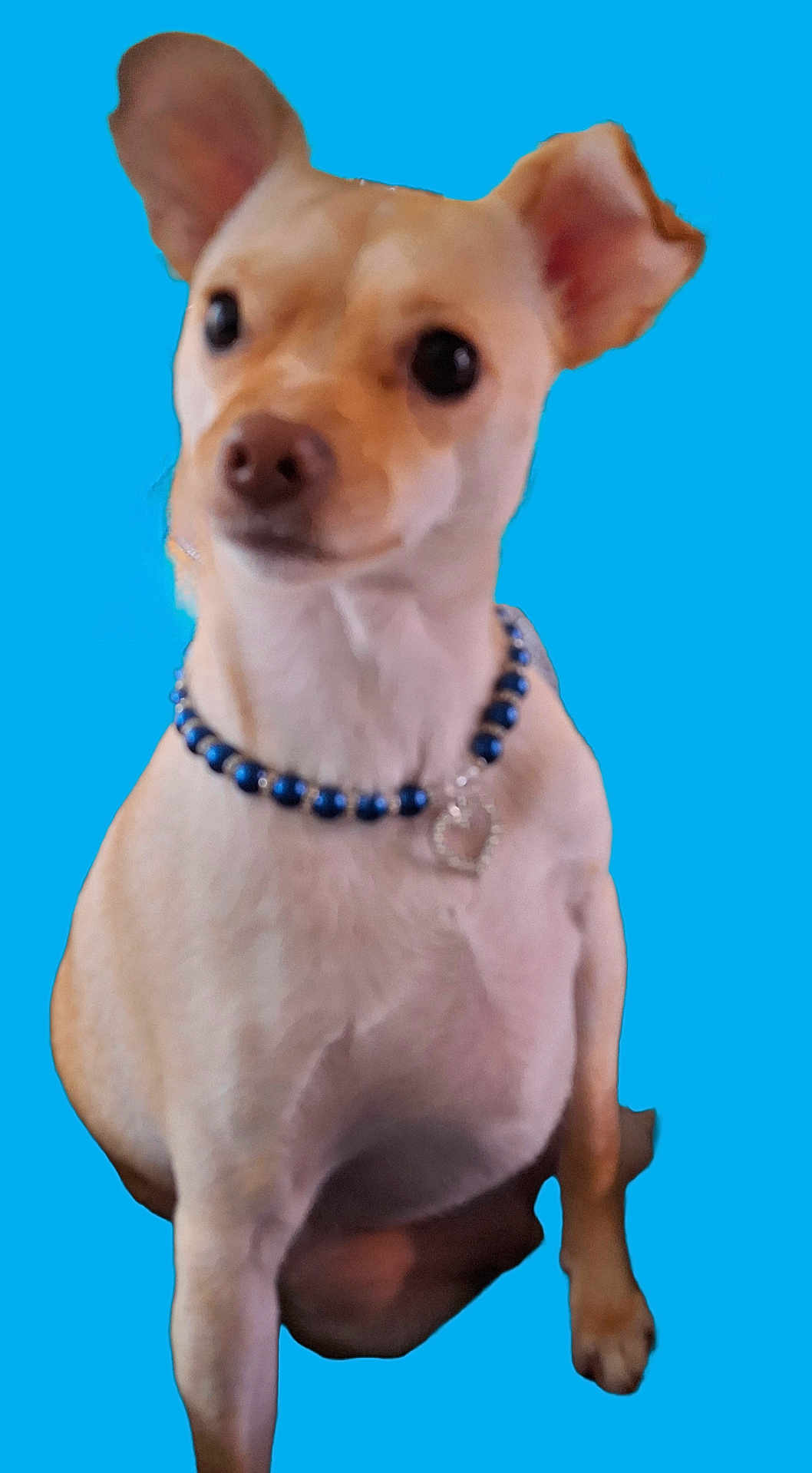 Zoey