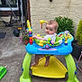 baby, walker, toy, outdoor, garden, plant, greenery, concrete, brick_wall, curious, child, foot, plastic, play, seat, colorful, potted_plant, backyard, person, infant
