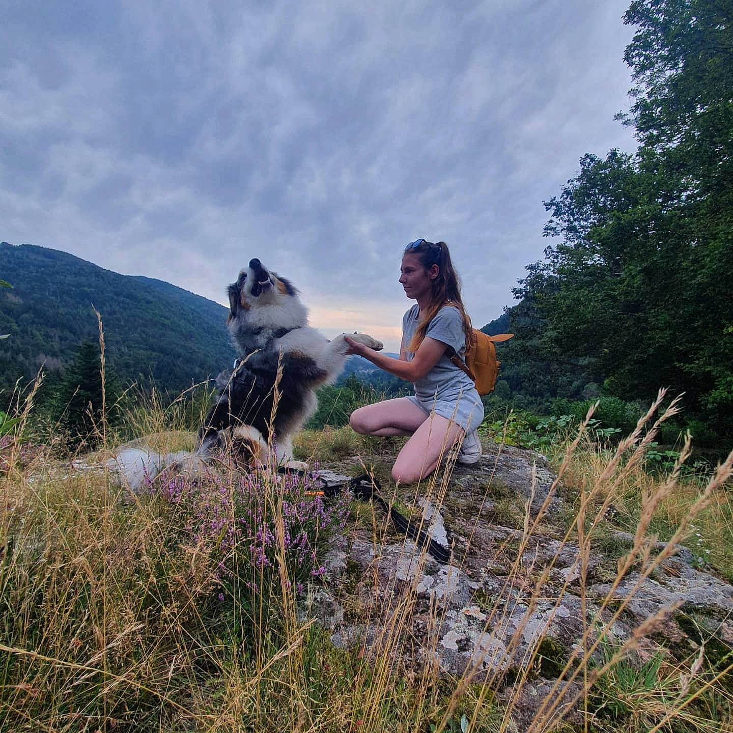 Natsu participe au concours pour gagner de l'argent avec cette photo : carnivore, cloud, fawn, forest, grass, grass_family, grassland, happy, landscape, leisure, meadow, mountain, natural_landscape, people_in_nature, plant, plant_community, prairie, recreation, sky, tree