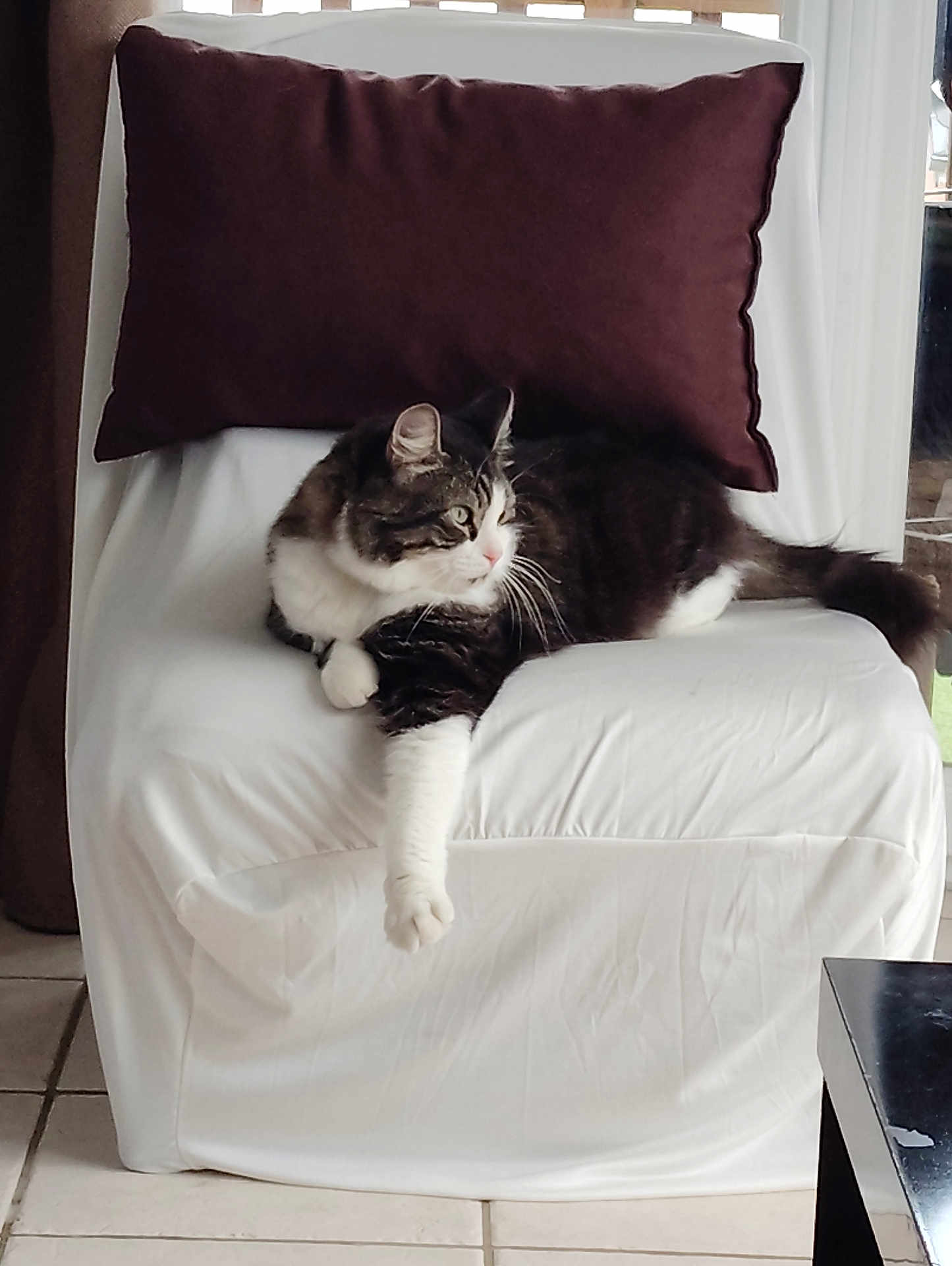 Helios
