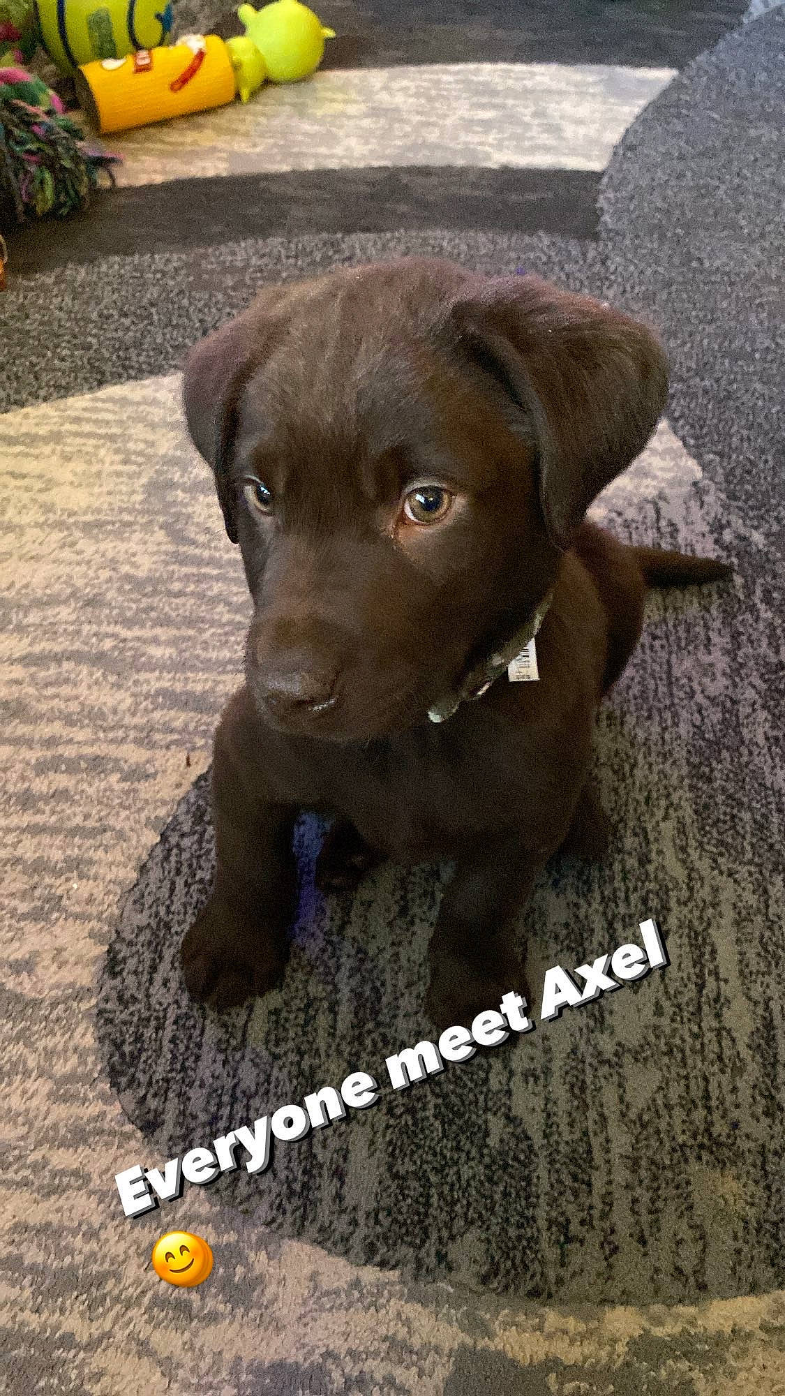 Axel