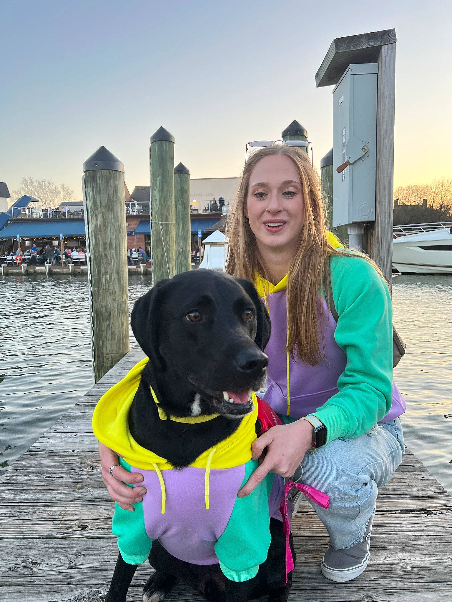 Sampson is registered to the contest to win money with this photo: canidae, carnivore, companion_dog, dog, dog_breed, dog_collar, dog_supply, fawn, fun, guard_dog, leisure, personal_protective_equipment, retriever, sky, smile, sporting_group, sports_equipment, travel, water, working_animal