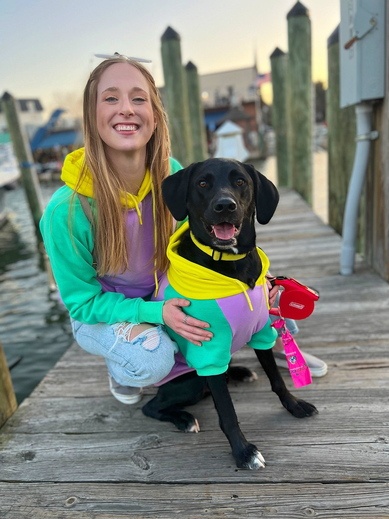 Sampson is registered to the contest to win money with this photo: canidae, carnivore, companion_dog, dog, dog_breed, dog_collar, fawn, fun, guard_dog, happy, leisure, personal_protective_equipment, plant, purple, retriever, sitting, sky, smile, sporting_group, tree