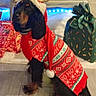 dog, christmas_sweater, santa_hat, holiday, presents, fireplace, indoor, festive, black_dog, decorations, floor, tile, warm_lighting, pet, winter, seasonal, cozy, gift_wrap, red, white