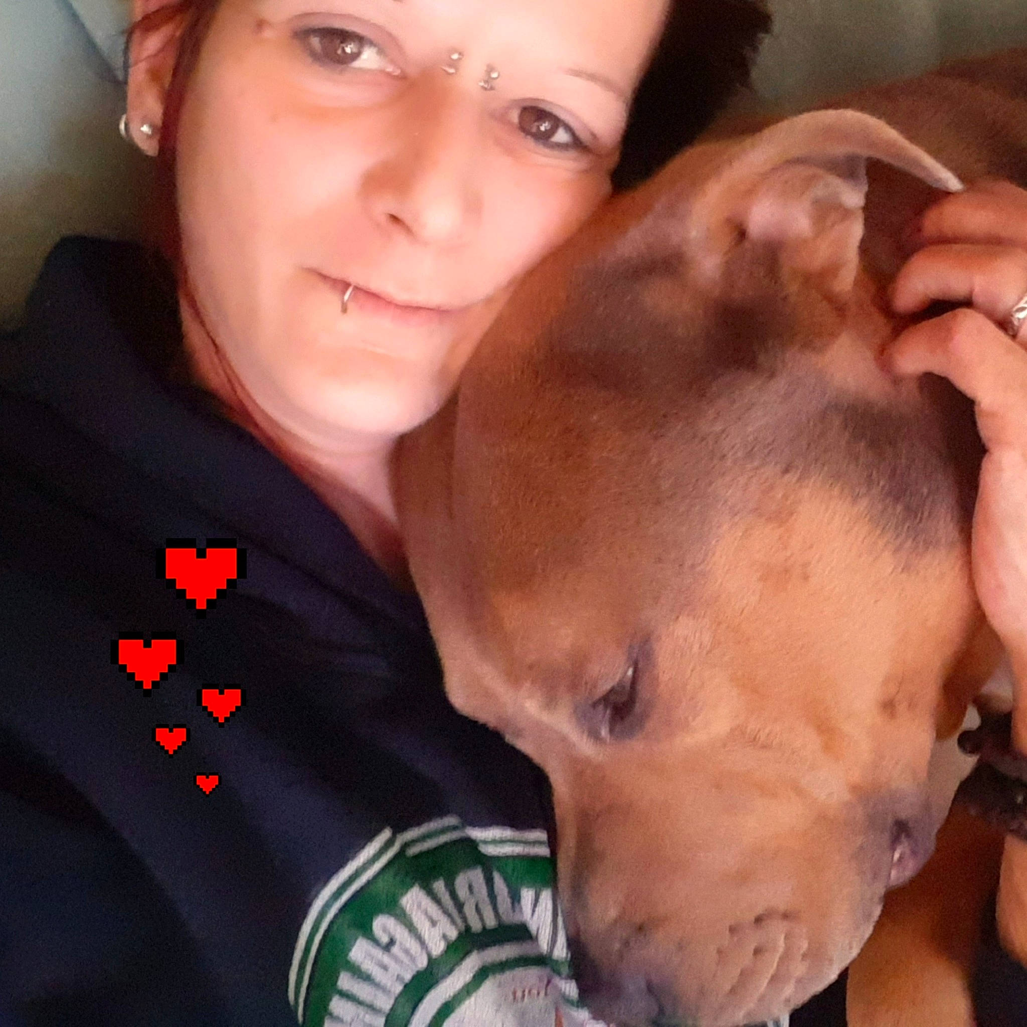 Gun participe au concours pour gagner de l'argent avec cette photo : carnivore, collar, companion_dog, dog, dog_breed, ear, eye, fawn, fur, gesture, happy, kiss, liver, selfie, smile, snout, sporting_group, t_shirt, whiskers, working_animal
