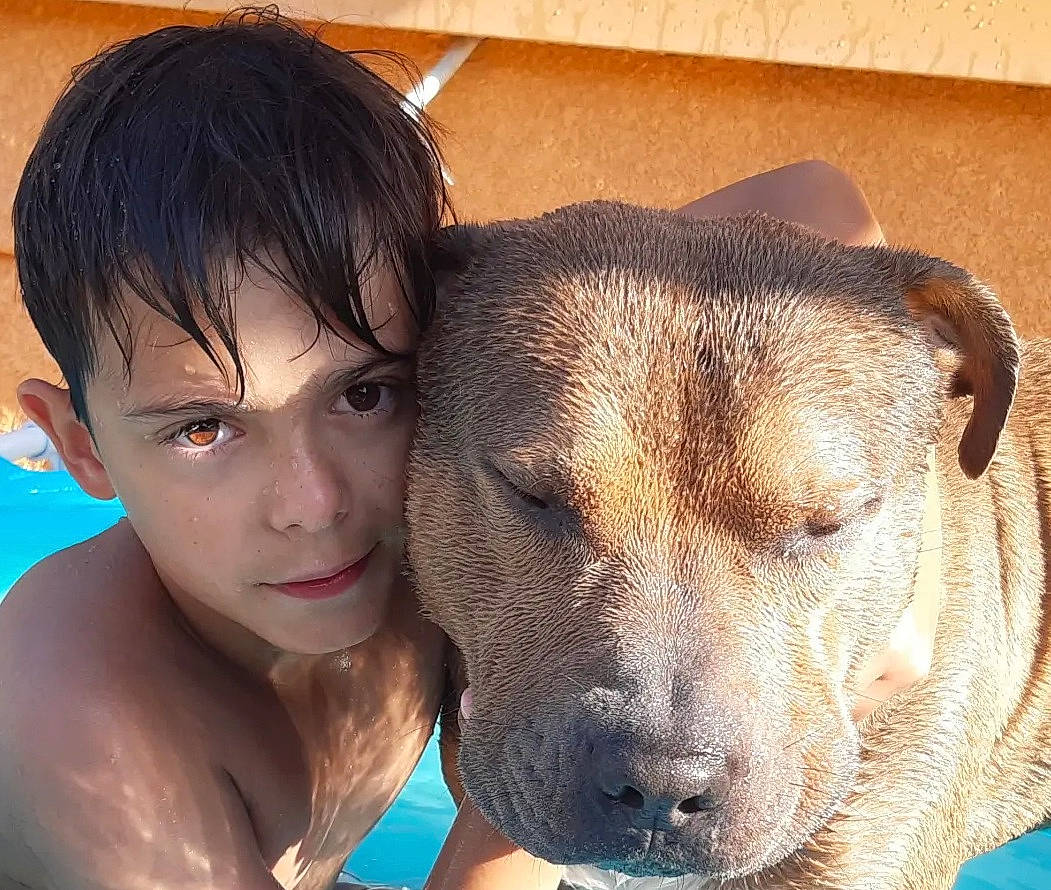 Gun participe au concours pour gagner de l'argent avec cette photo : bathing, carnivore, chest, child, companion_dog, dog, dog_breed, ear, eyelash, fawn, fun, guard_dog, happy, jaw, selfie, snout, sporting_group, whiskers, working_animal