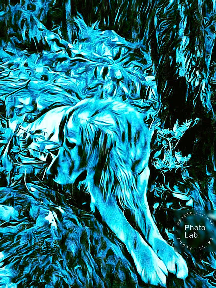 Narcos participe au concours pour gagner de l'argent avec cette photo : aqua, art, electric_blue, fictional_character, illustration, organism, turquoise, water, wildlife