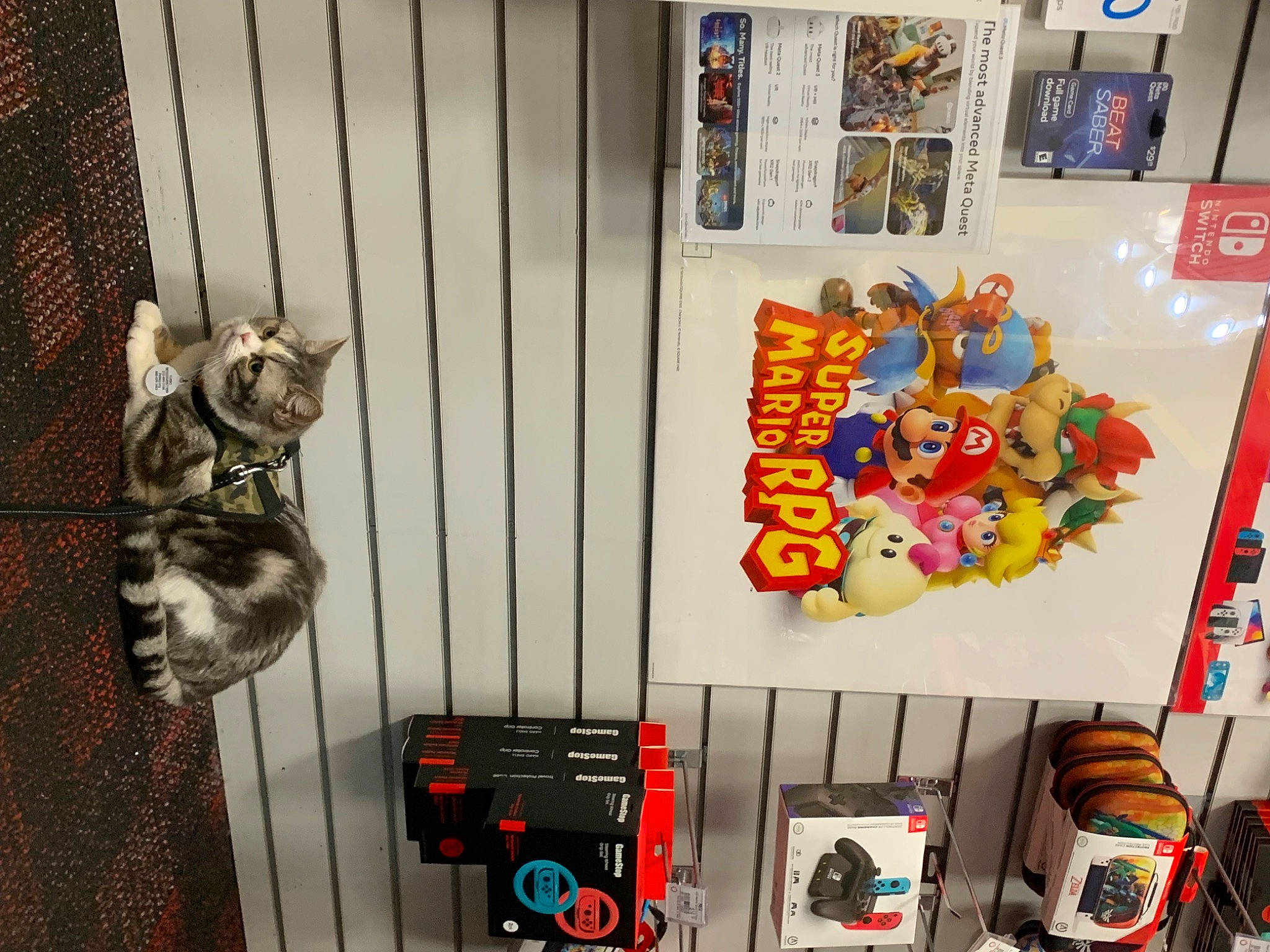 Turbo is registered to the contest to win money with this photo: animation, art, audio_equipment, collection, door, fictional_character, gas, machine, metal, recreation, room, shelving, toy, visual_arts, wood