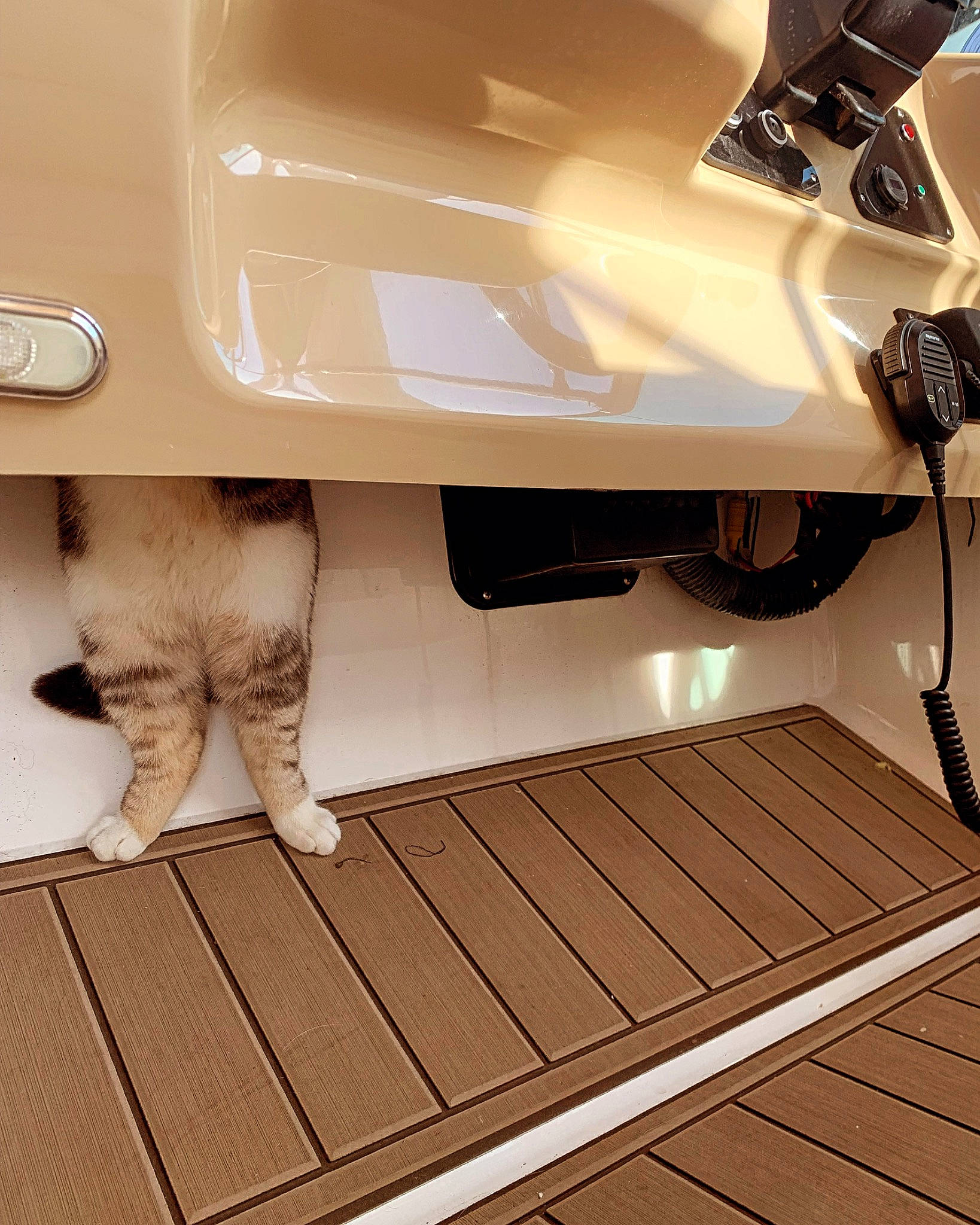 Turbo joined the competition — help win amazing prizes! auto_part, automotive_design, automotive_exterior, automotive_lighting, automotive_wheel_system, bumper, classic, fender, flooring, foot, hood, luxury_vehicle, machine, metal, motor_vehicle, personal_luxury_car, rim, vehicle, vehicle_door, wood