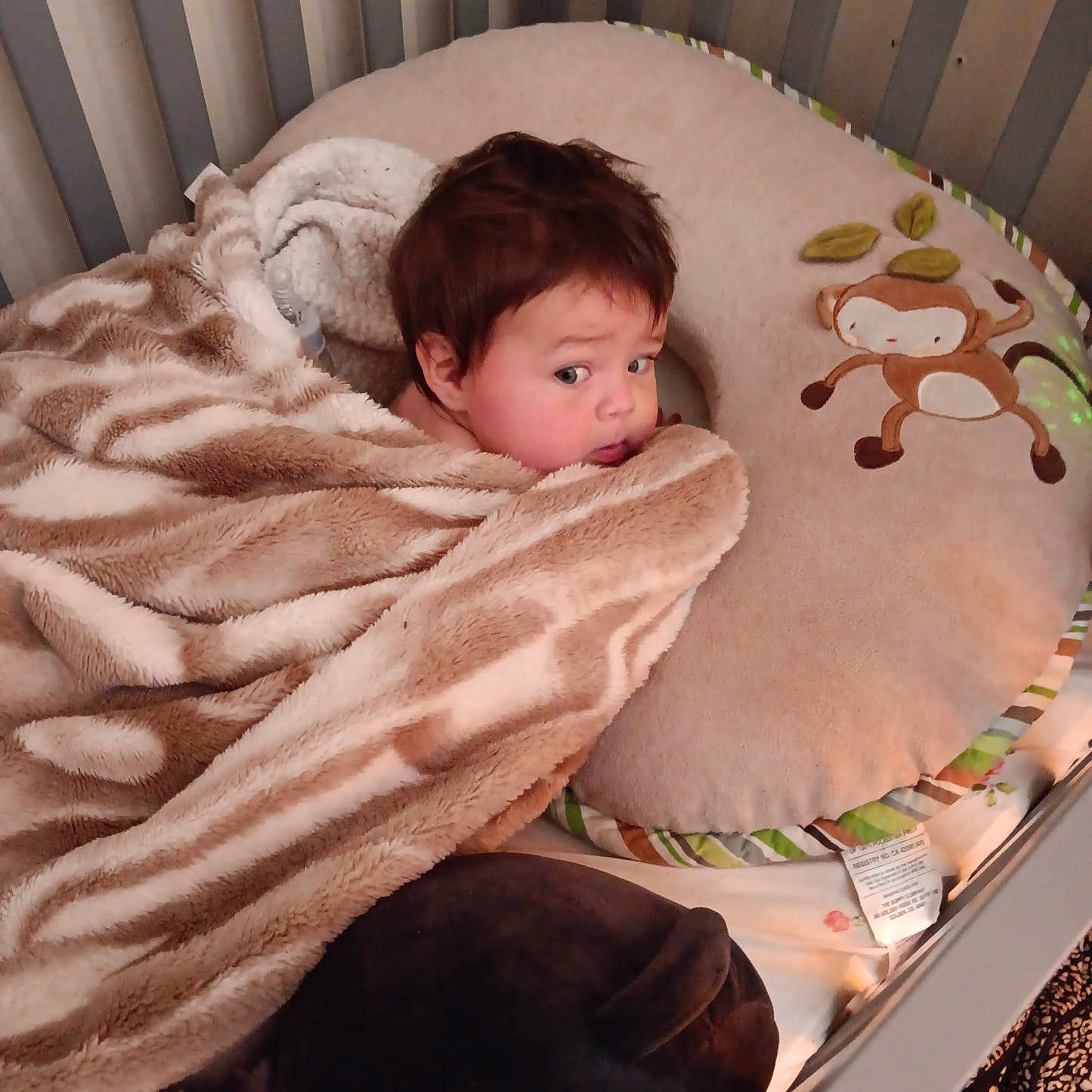 Nova Grace is registered to the contest to win money with this photo: baby, bed, blanket, crib, cushion, face, furniture, head, homedecor, indoors, infantbed, nursery, person, quilt, room