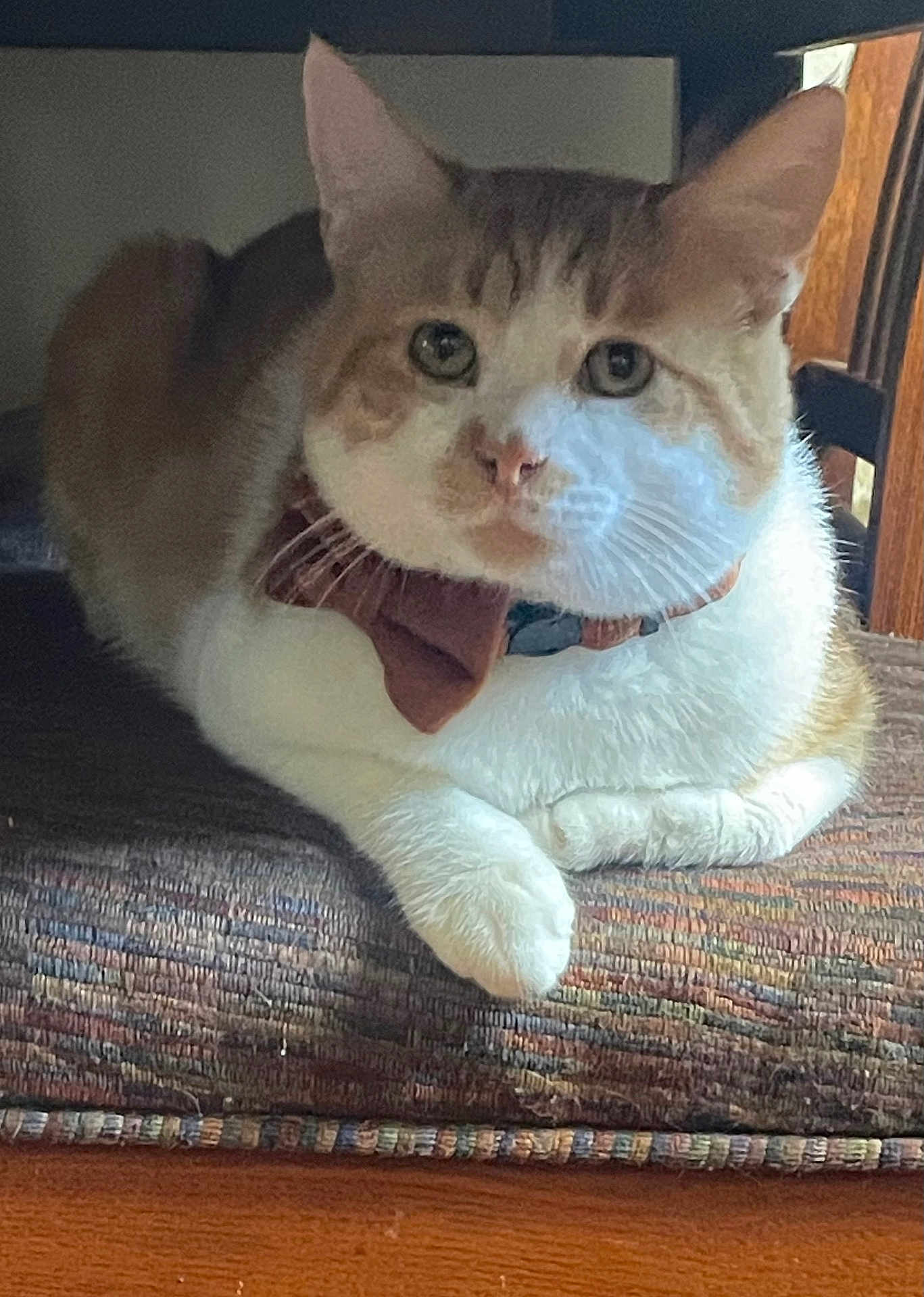 Leo