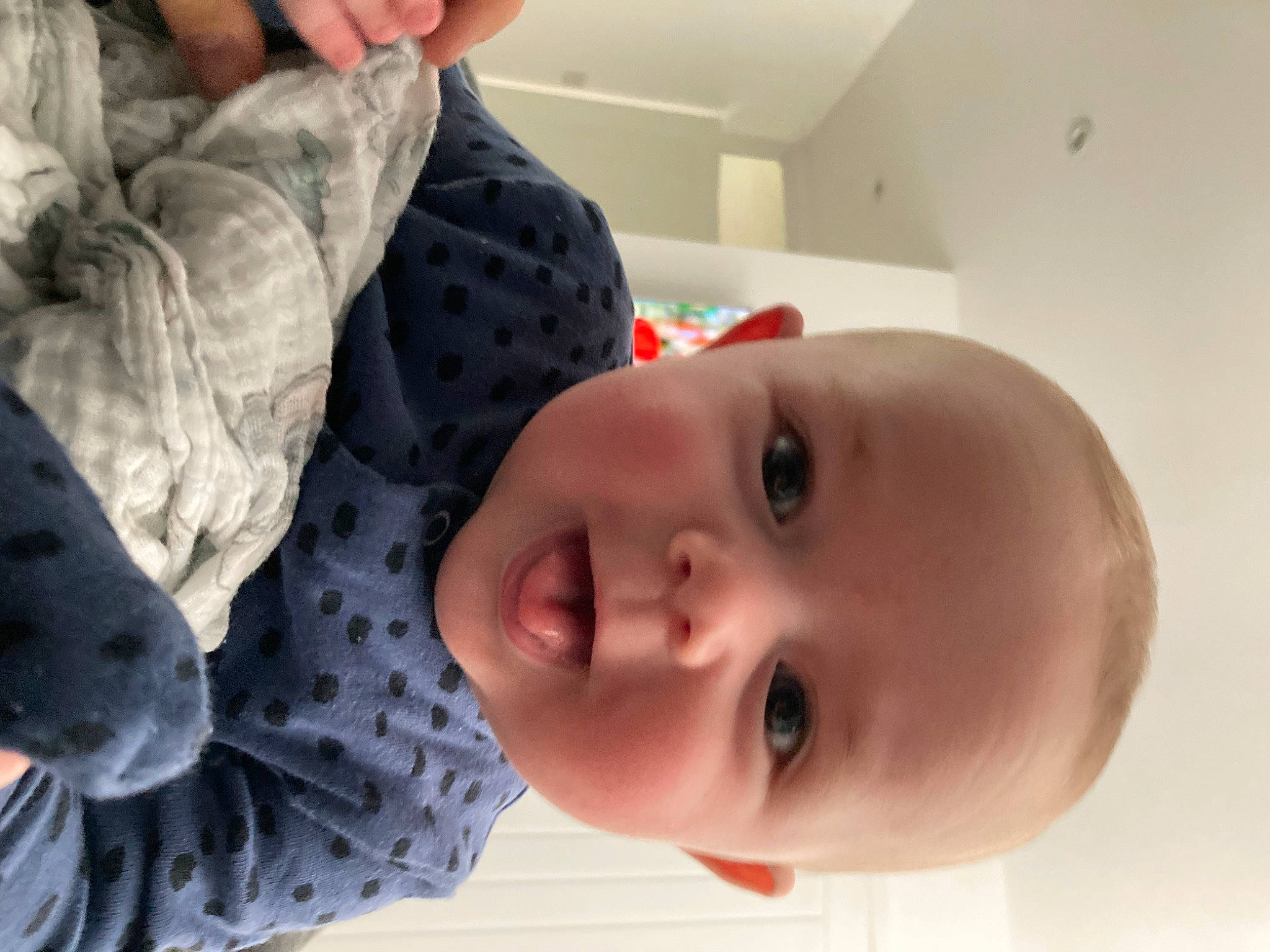 Jagger is registered to the contest to win money with this photo: baby, baby_toddler_clothing, cheek, child, comfort, flooring, fun, happy, nose, pattern, person, portrait_photography, room, skin, smile, toddler, window