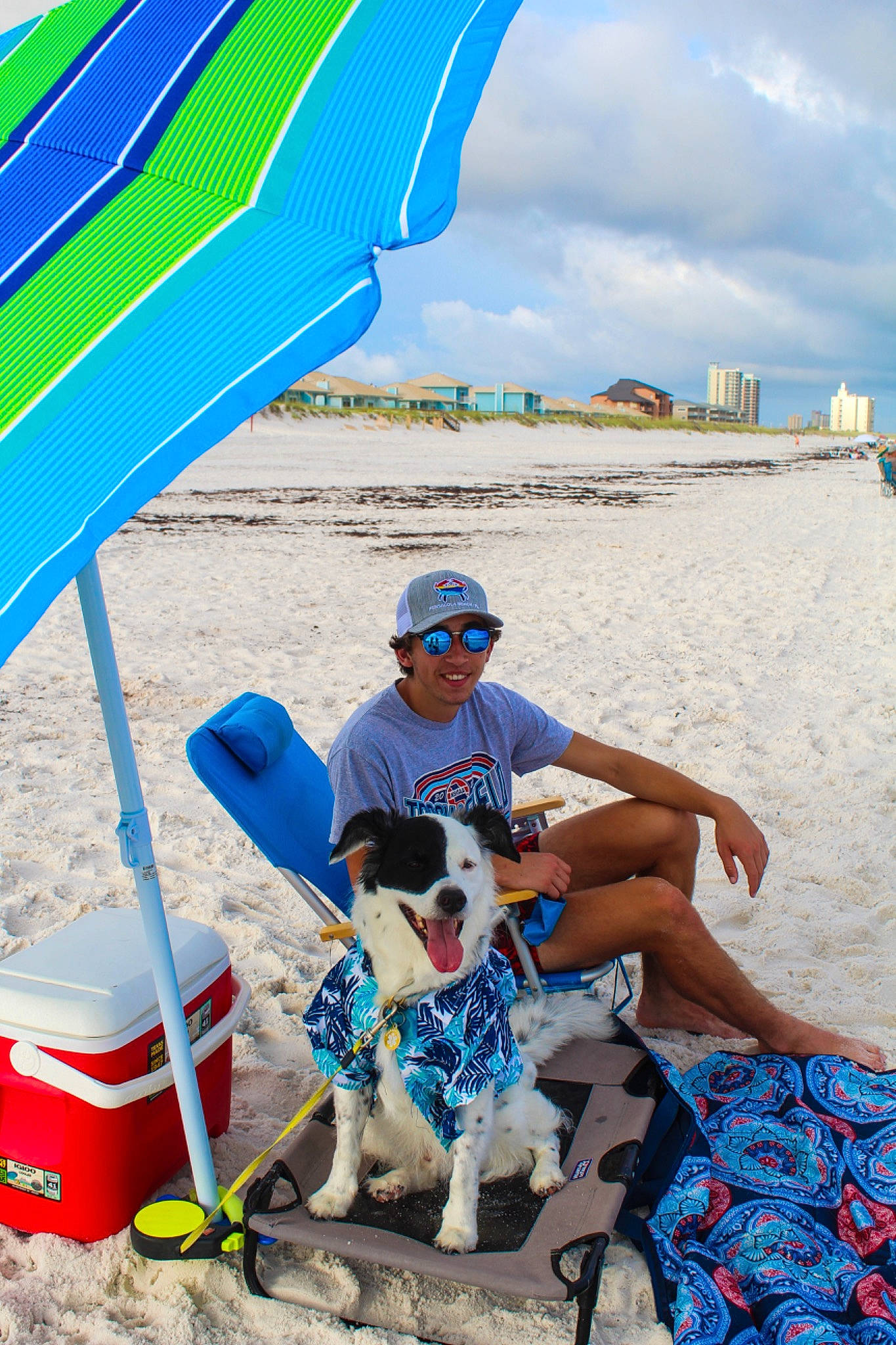 Sailor joined the competition — help win amazing prizes! baseball_cap, beach, blue, body_of_water, carnivore, chair, cloud, dog, eyewear, fun, hat, leisure, natural_environment, people_on_beach, shade, shorts, sky, sun_hat, sunglasses, travel