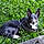 Louna