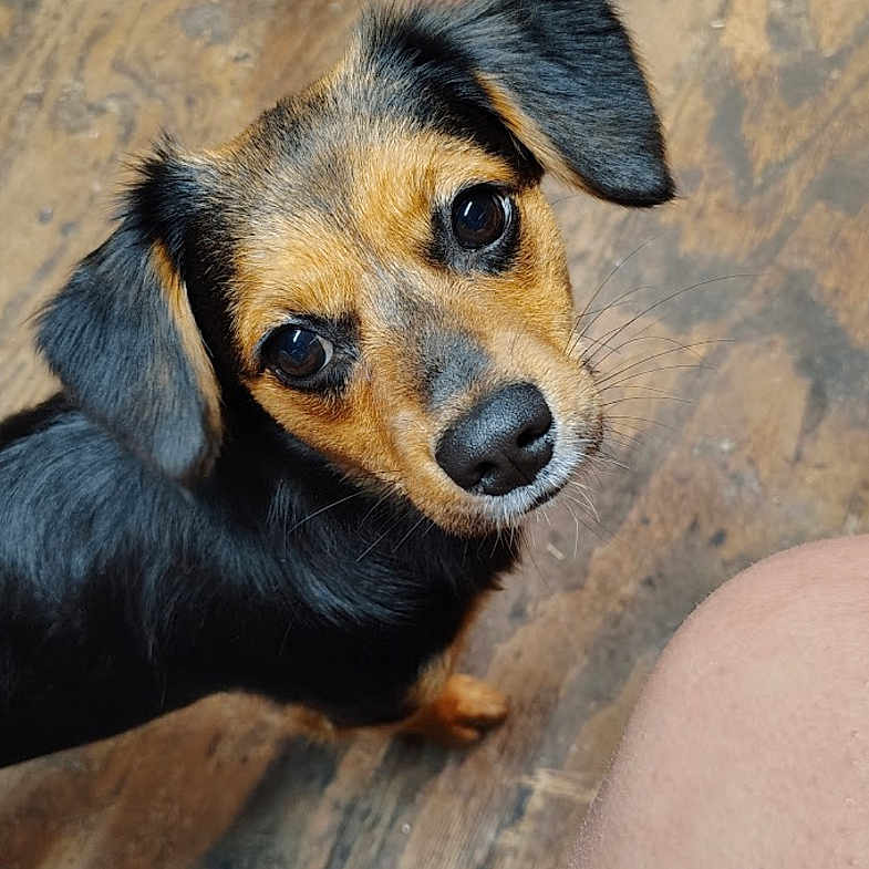 Minnie