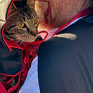 Jinx is registered to the contest to win money with this photo: cat, man, beard, costume, hood, red, black, yellow_eyes, close_up, face, pet, animal, holding, portrait, fur, fabric, outdoor, daylight, calm, alert