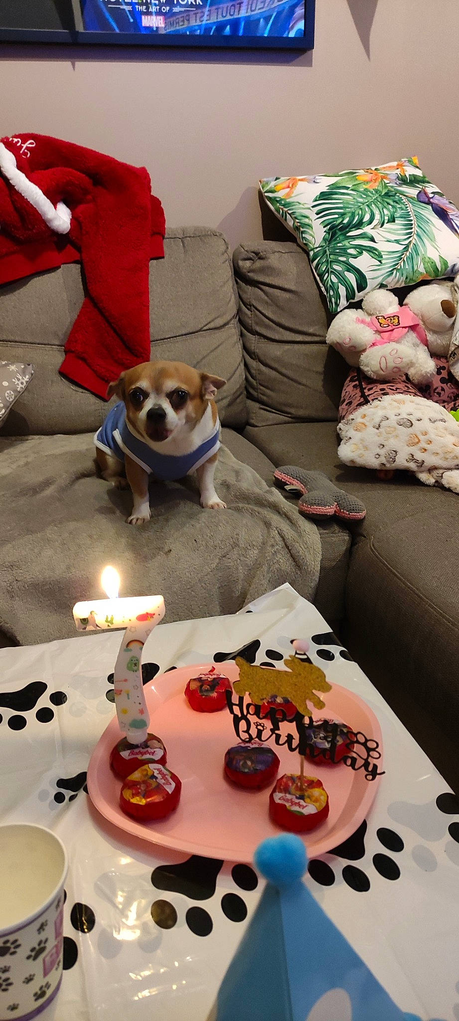 London participe au concours pour gagner de l'argent avec cette photo : cake, cake_decorating, candle, carnivore, chair, comfort, couch, cup, dishware, dog, dog_breed, dog_supply, fawn, food, furniture, interior_design, plate, table, tableware, textile