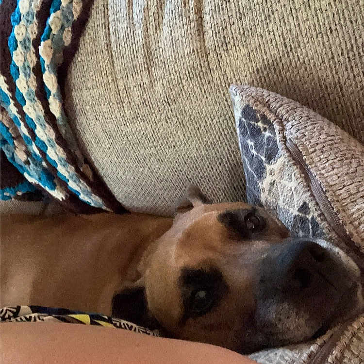 Buster