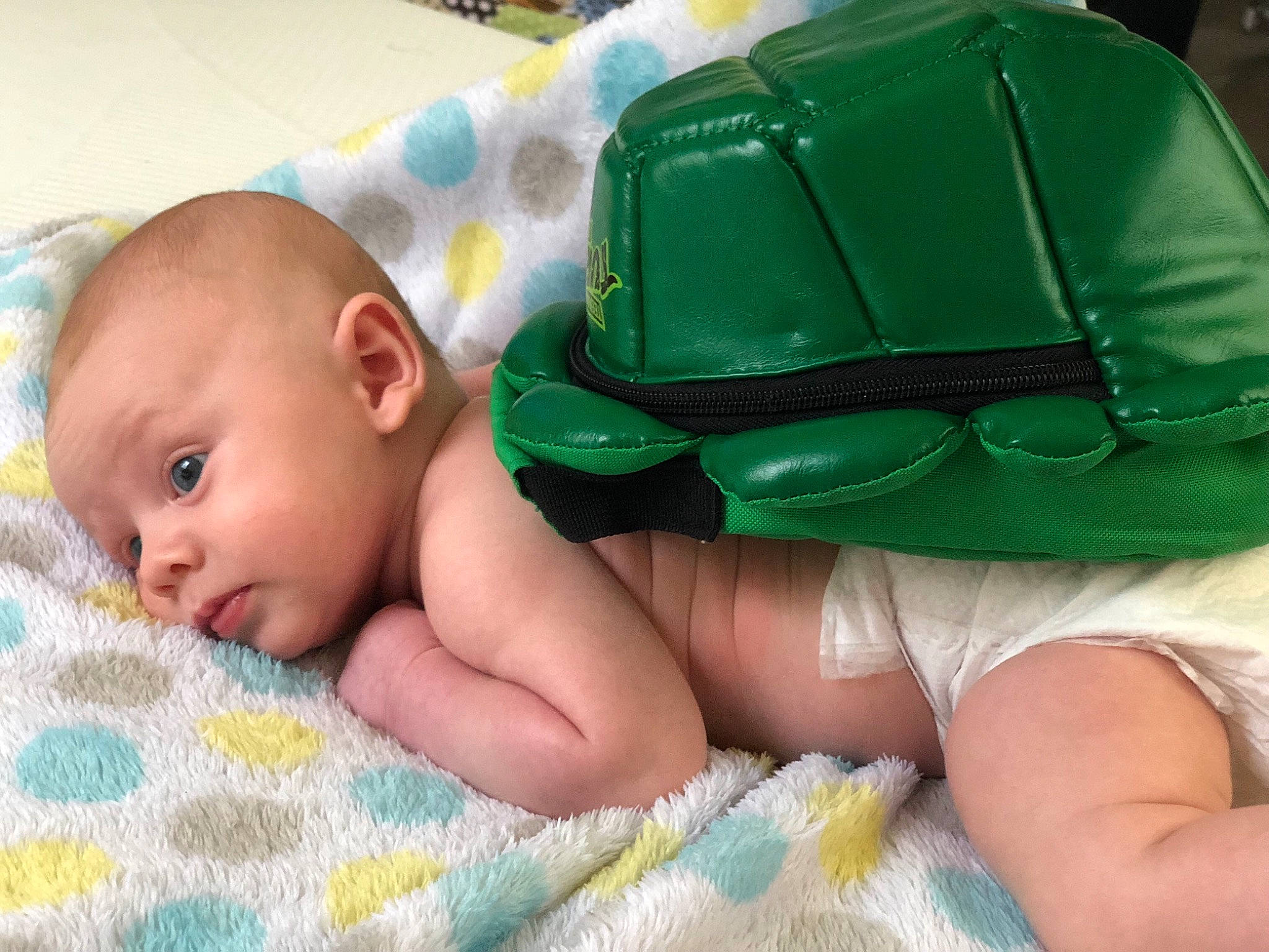 Kristopher is registered to the contest to win money with this photo: baby_products, cheek, child, diaper, ear, eye, finger, green, hand, infant, mouth, person, play, product, skin, toddler