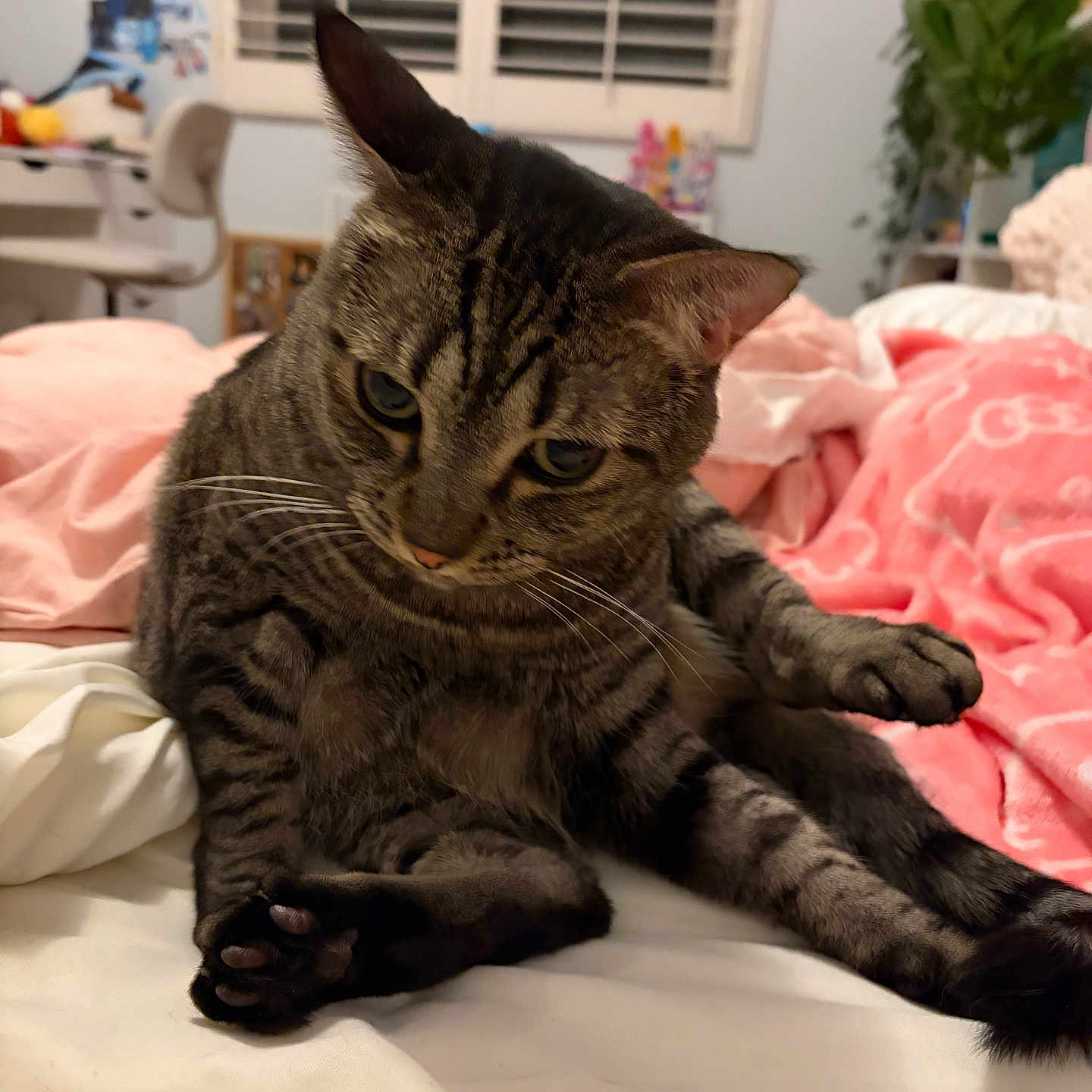 Sokka
