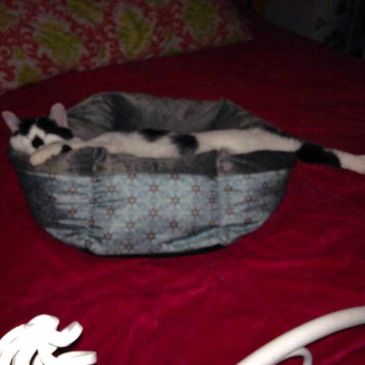 Bella