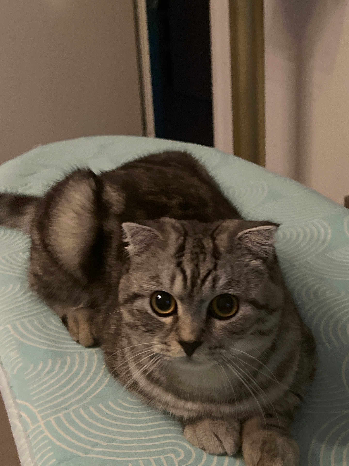 Leo