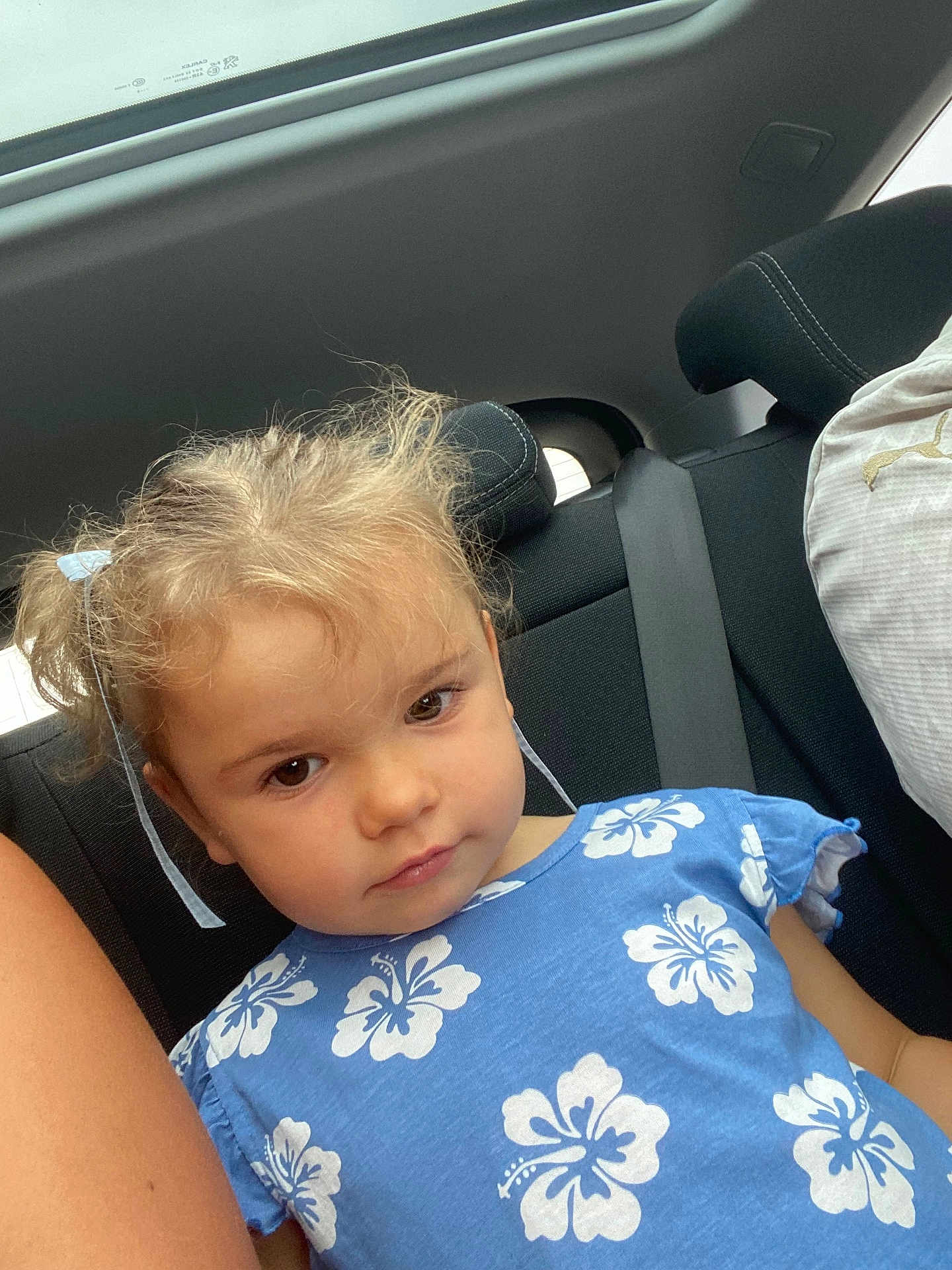 Nélia participe au concours pour gagner de l'argent avec cette photo : child, girl, car_interior, blue_shirt, hibiscus_flower_pattern, seatbelt, brown_eyes, light_brown_hair, ribbons, casual_clothing, portrait, sitting, young_child, vehicle_seat, head_and_shoulders, natural_light, curly_hair, serious_expression, indoor, closeup
