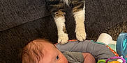 Tuna joined the competition — help win amazing prizes! baby, baby_seat, carpet, cat, child, closeup, colorful_toys, couch, curious_cat, domestic_pet, fluffy_cat, furniture, gray_clothing, home, indoor, infant, playtime, relaxed, toy, yellow_eyes