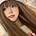 Sheyma A.
