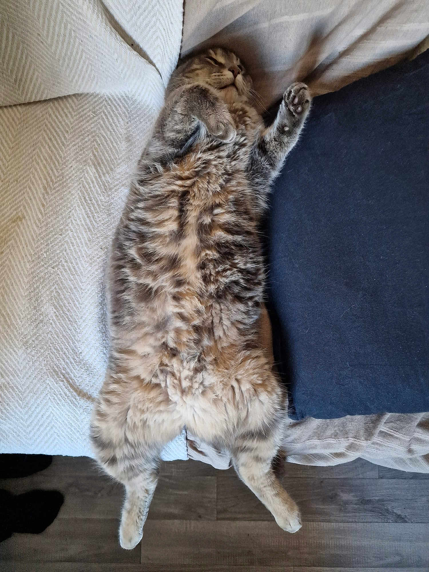 Rocket