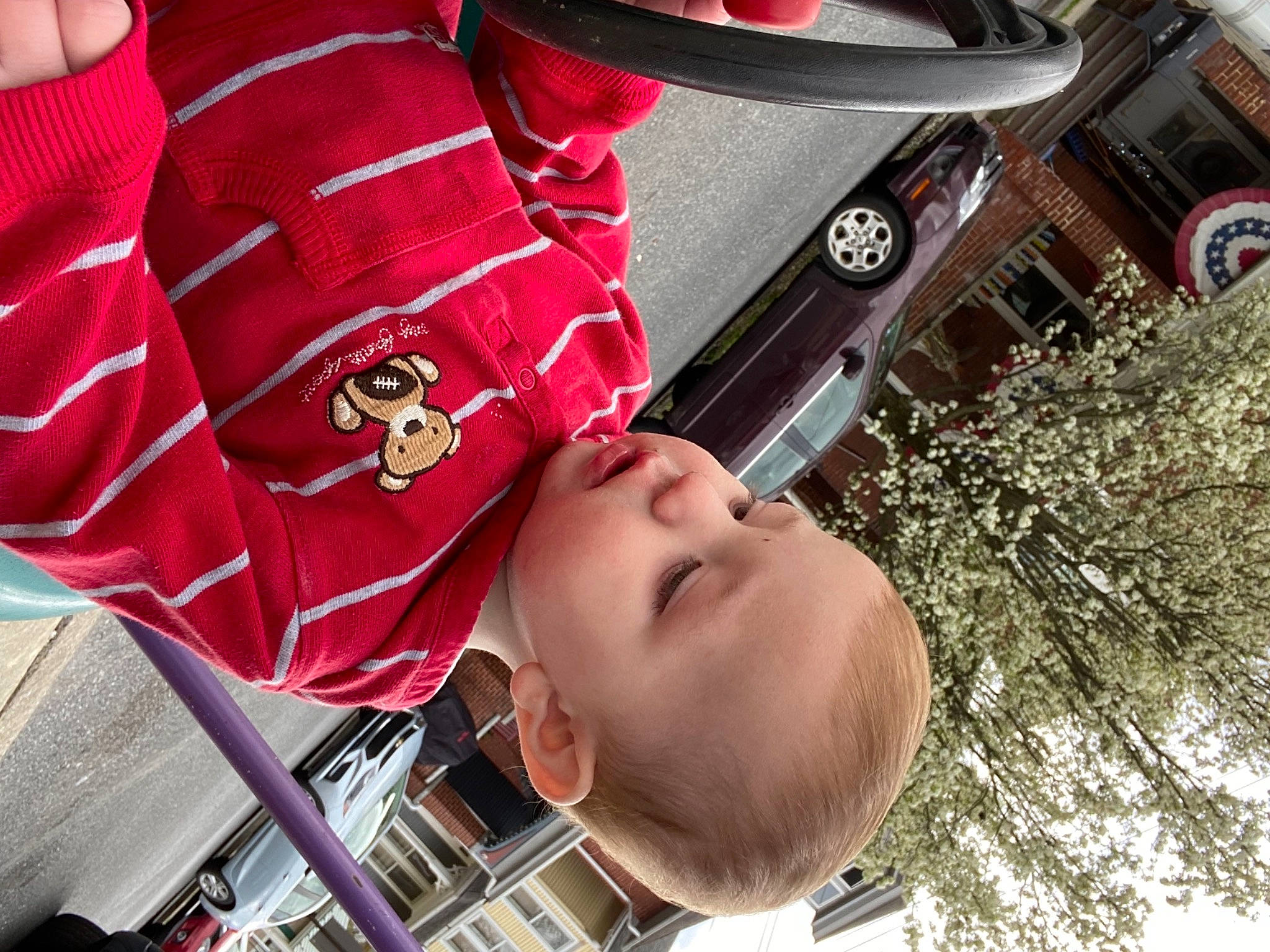 Brayden is registered to the contest to win money with this photo: automotive_exterior, automotive_lighting, automotive_tire, baby, bumper, carmine, fun, grass, headgear, hood, leisure, motor_vehicle, person, plant, red, tire, toddler, tree, vehicle_door, window