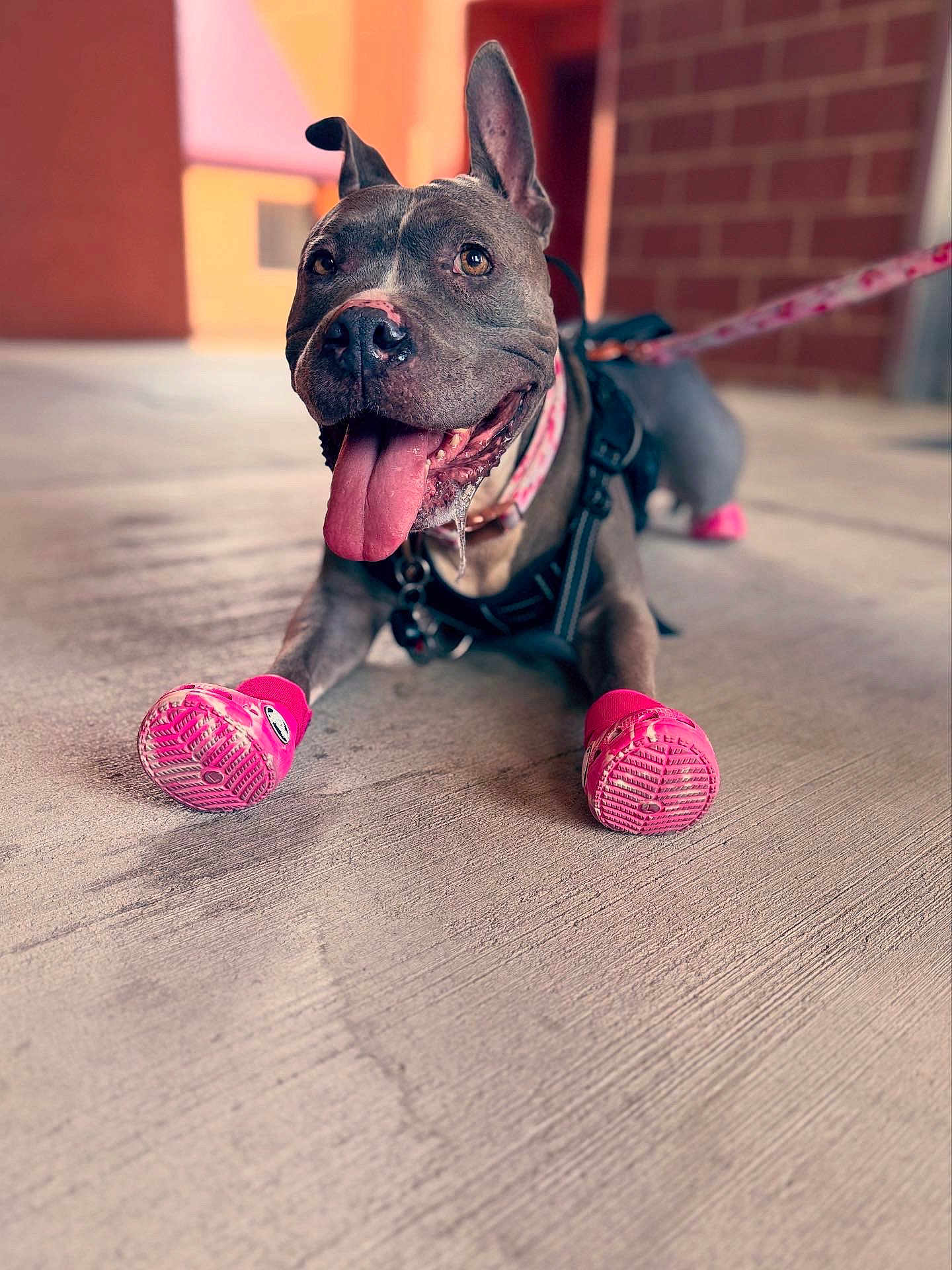 Rosie