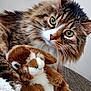 cat, stuffed_animal, bunny, plush_toy, tabby, furry, green_eyes, close_up, indoor, cozy, couch, pet, animal, whiskers, cute, relaxed, soft, friendship, fur, portrait