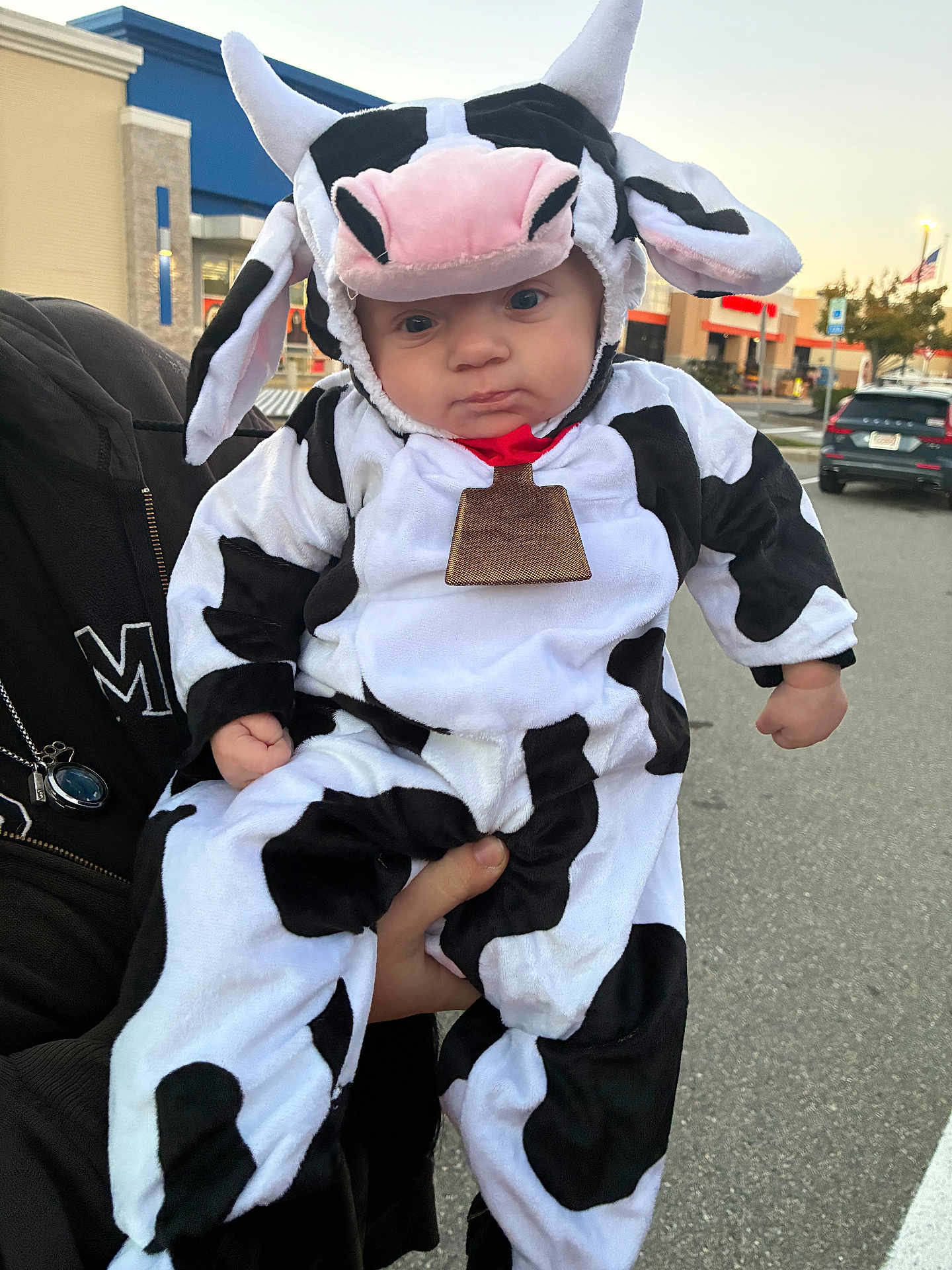 Carter is registered to the contest to win money with this photo: baby, child, costume, cow_costume, plush, outdoor, parking_lot, car, building, person, cute, animal_costume, hood, ears, face, expression, hand, holding, clothing, daytime
