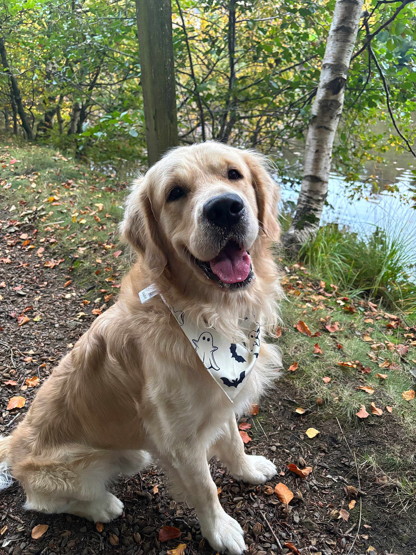 Zeus
