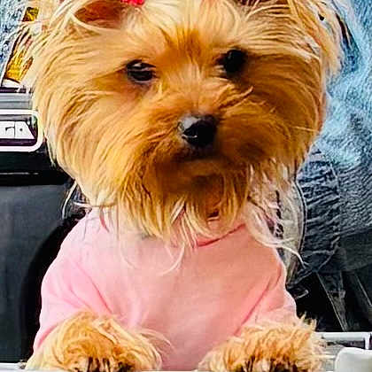 Nina Lynn