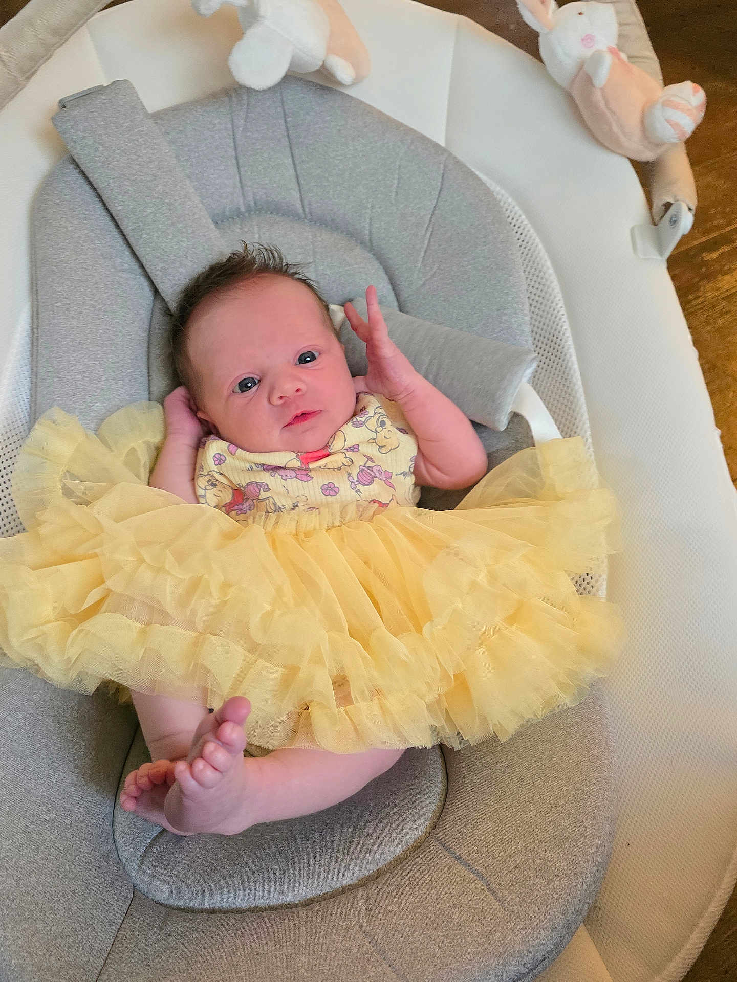 Maisie joined the competition — help win amazing prizes! baby, baby_seat, child, curly_hair, cushion, cute, fabric, foot, hand, indoor, infant, looking_at_camera, newborn, person, plush_toy, seat, soft_toy, tutu_dress, wooden_floor, yellow_dress